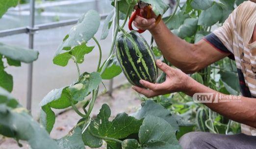 浙江杭州最新吃瓜,网红美食打卡地，揭秘隐藏版美食圈